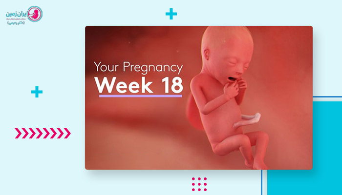 سونوگرافی هفته 18 بارداری چه چیزی را نشان می دهد؟
