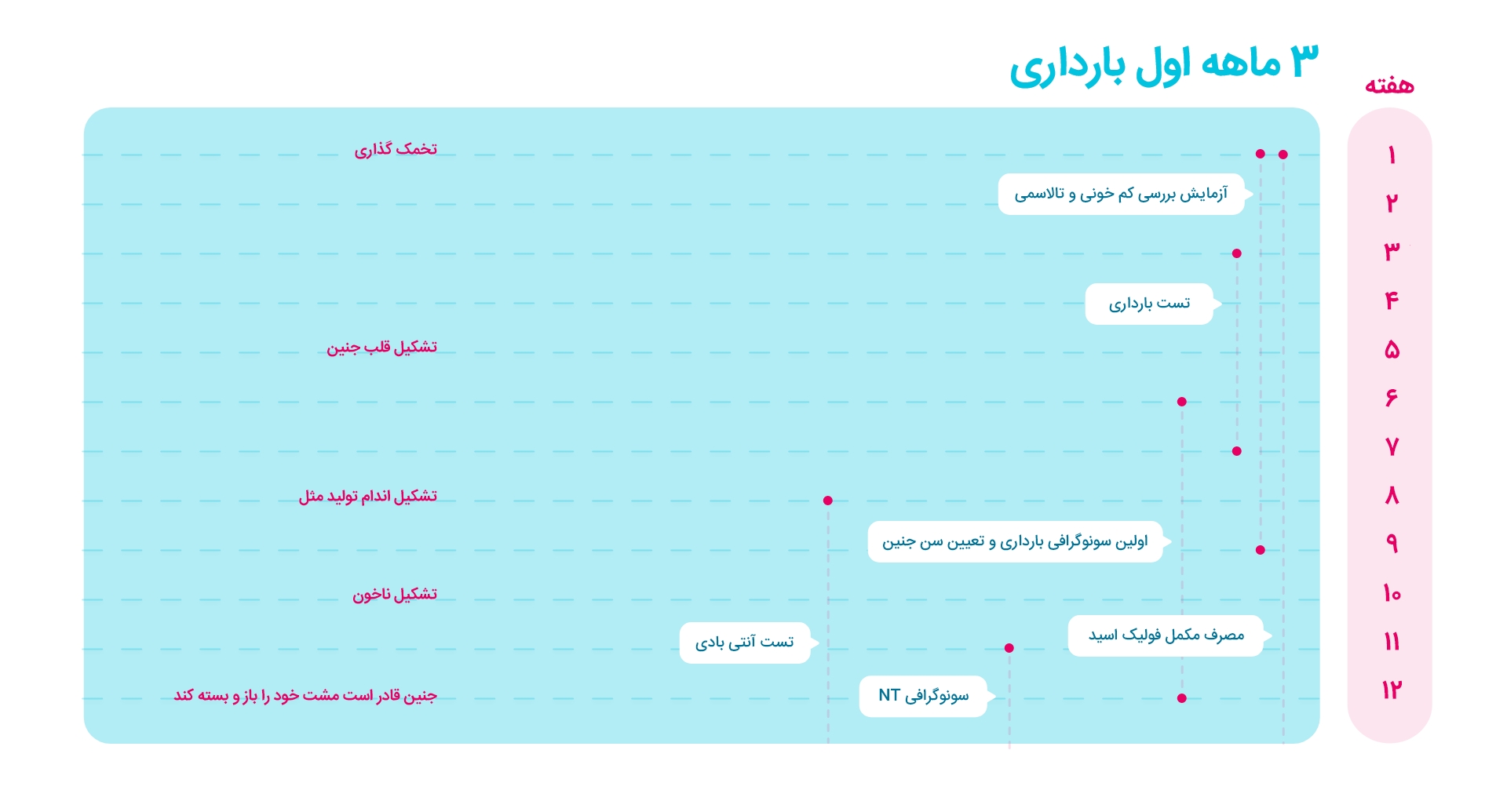 سونوگرافی ها و آزمایشات سه ماهه اول