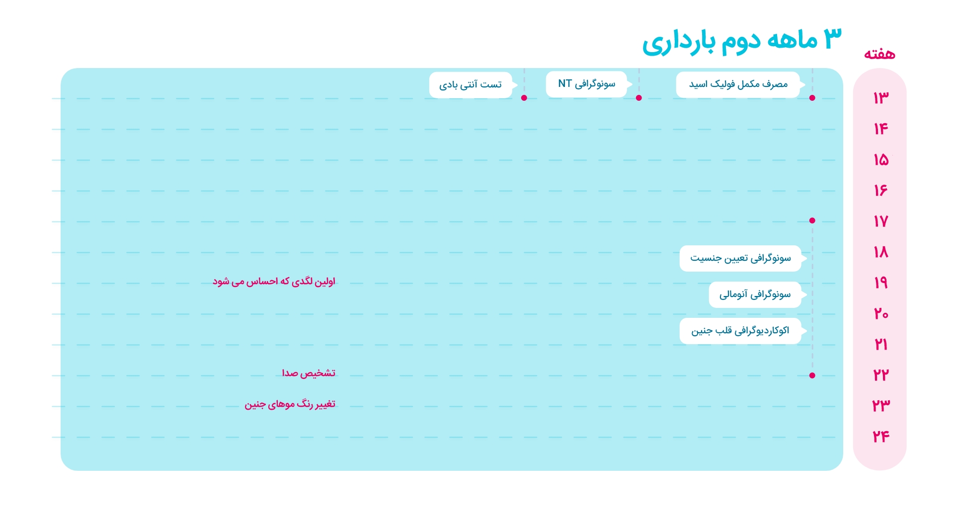 سونوگرافی ها و آزمایشات سه ماهه دوم